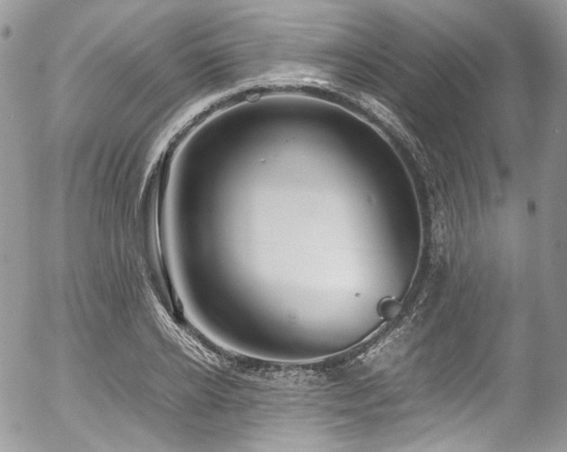 X0000054370934200507291043