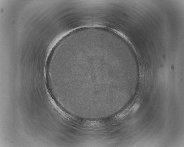 X0000054370935200507291043