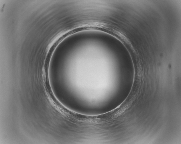 X0000054370936200507291043