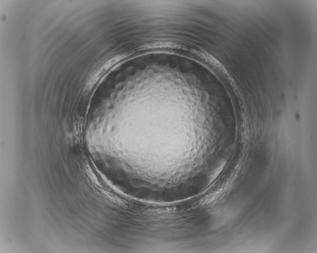 X0000054370937200507291043