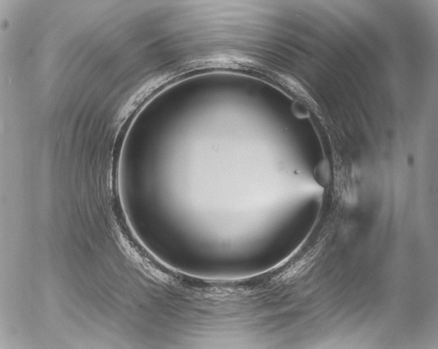 X0000054370938200507291043