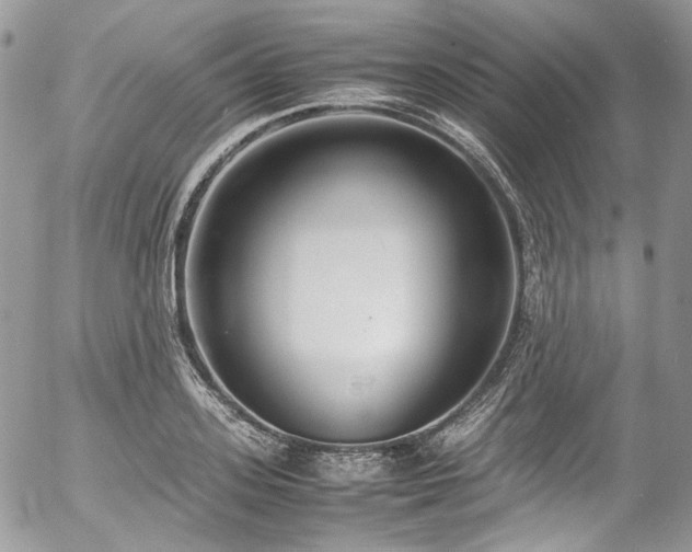 X0000054370939200507291043