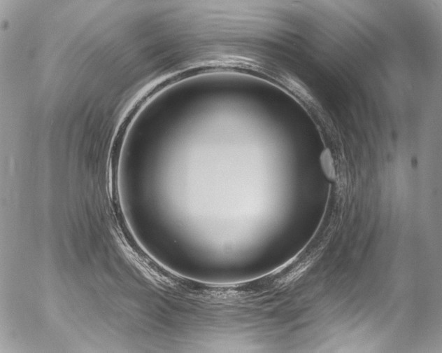 X0000054370940200507291043