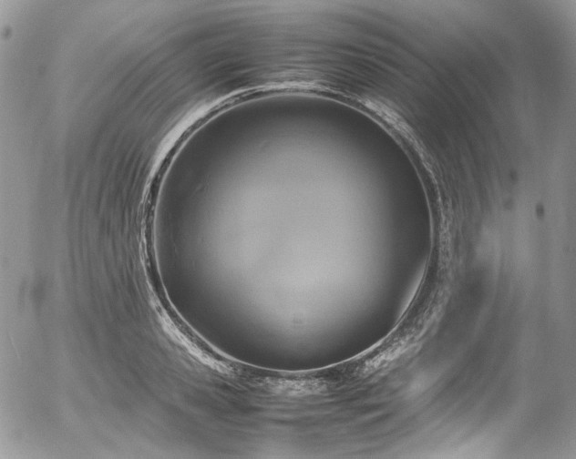 X0000054370941200507291043