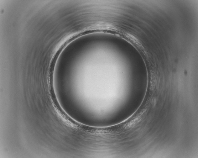 X0000054370942200507291043