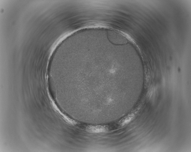 X0000054370943200507291043