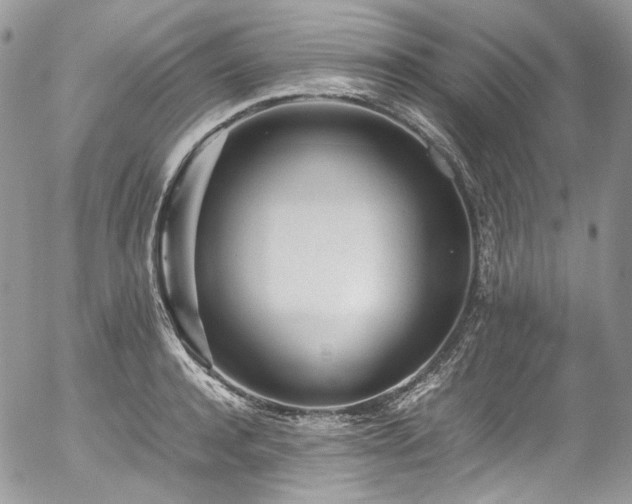 X0000054370944200507291043