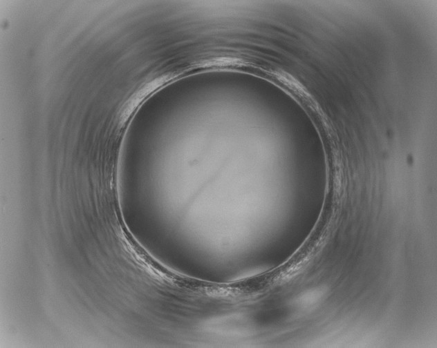 X0000054370945200507291043