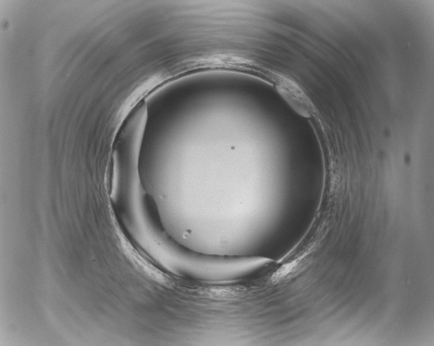 X0000054370946200507291043