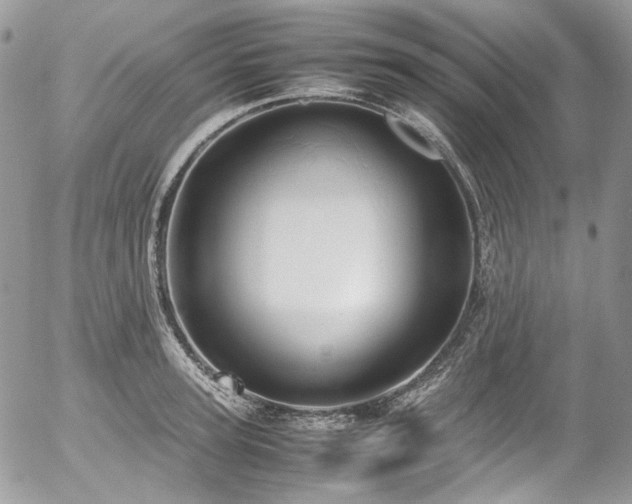 X0000054370947200507291043