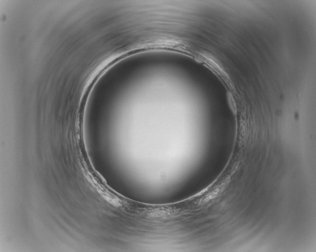 X0000054370948200507291043