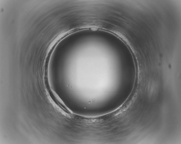 X0000054370949200507291043