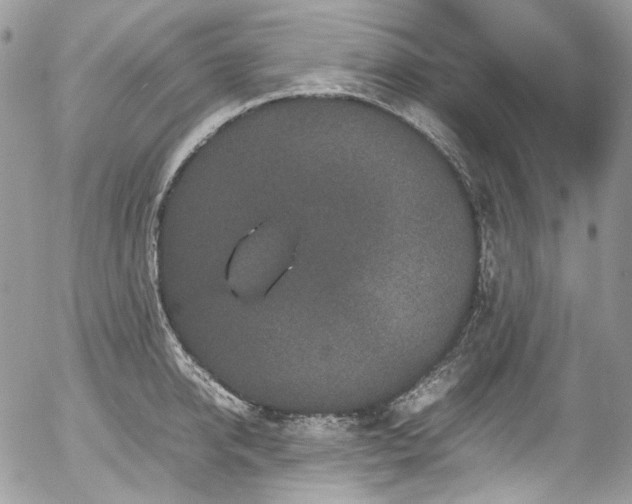 X0000054370950200507291043