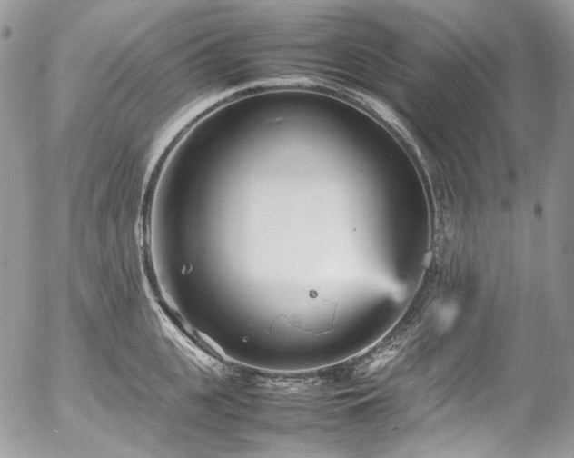 X0000054370951200507291043