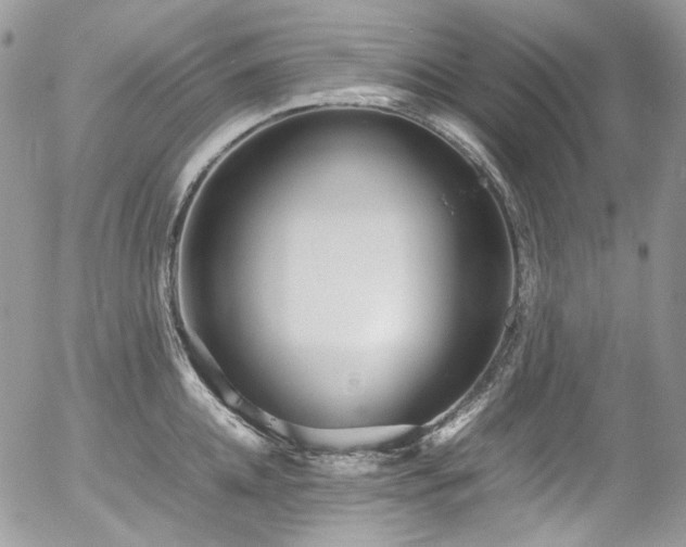 X0000054370952200507291043