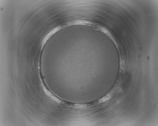 X0000054370954200507291043