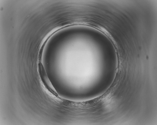 X0000054370955200507291043