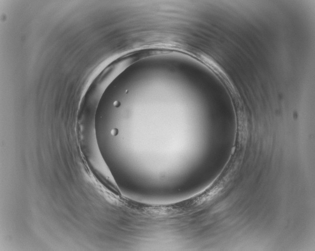 X0000054370956200507291043