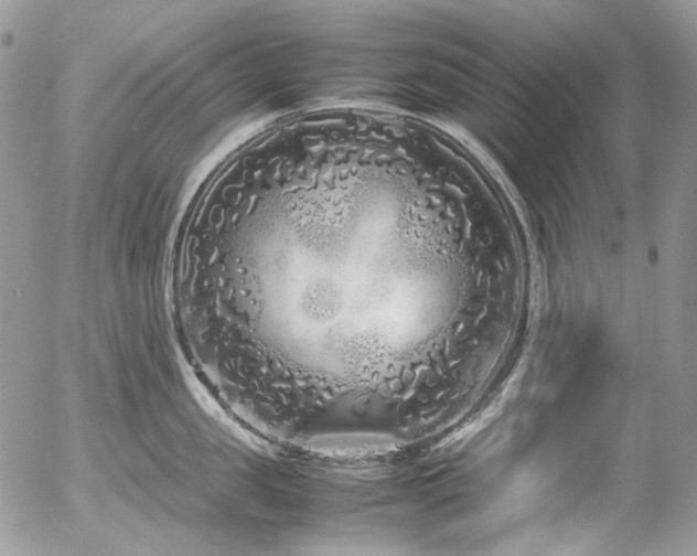 X0000054370957200507291043