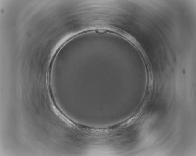 X0000054370958200507291043