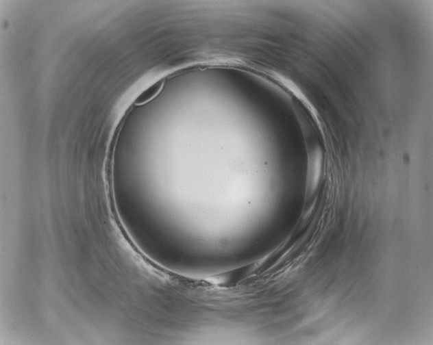 X0000054370959200507291043