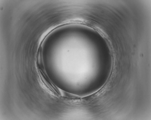 X0000054370960200507291043