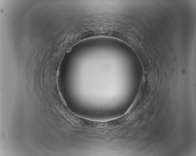 X0000054370961200507291043