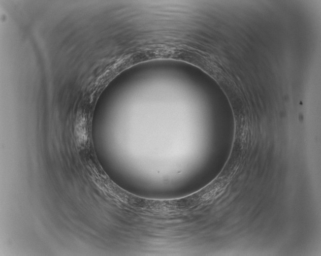 X0000054370962200507291043