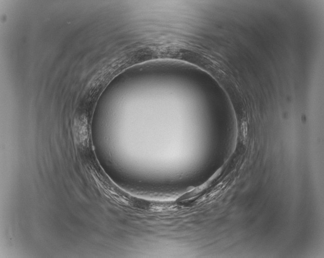 X0000054370963200507291043