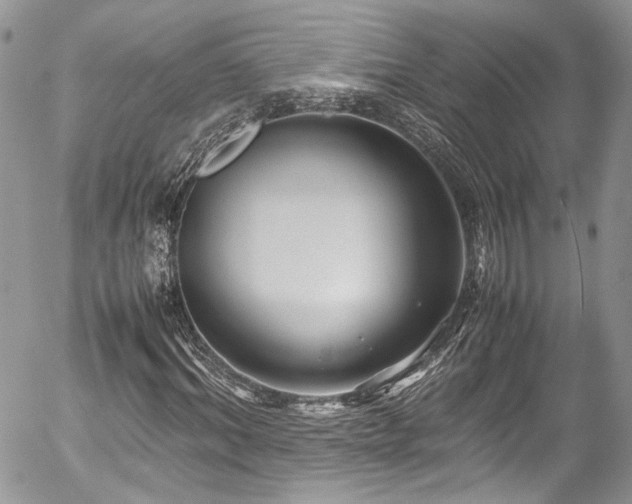 X0000054370964200507291043