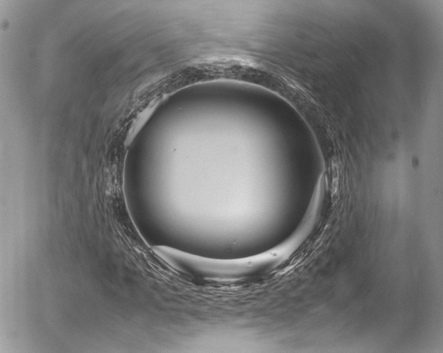 X0000054370965200507291042