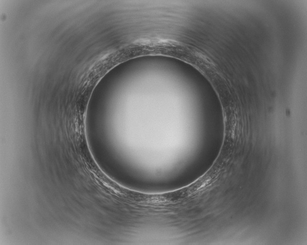 X0000054370966200507291042