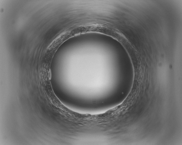 X0000054370967200507291042