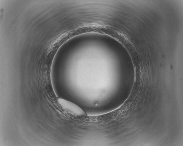 X0000054370968200507291042