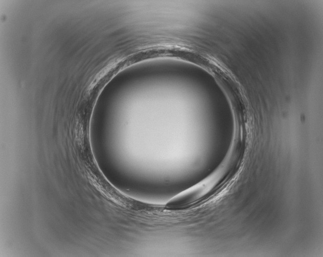 X0000054370969200507291042