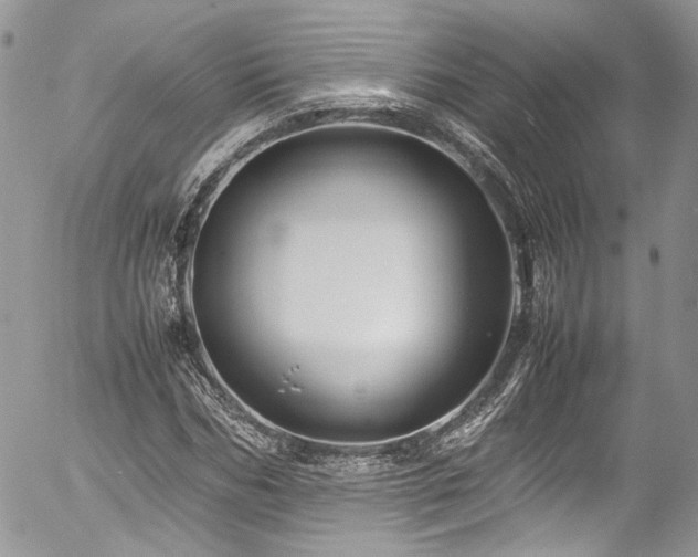 X0000054370970200507291042