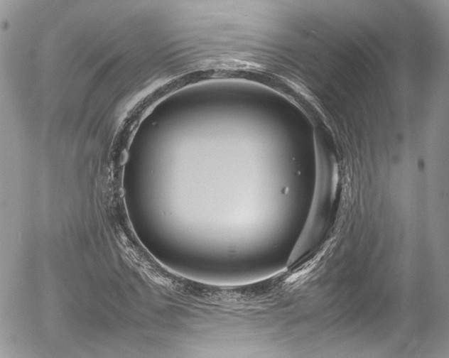 X0000054370971200507291042