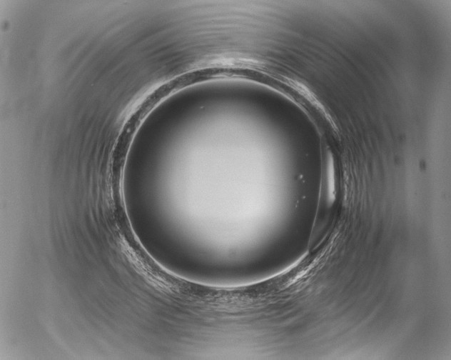 X0000054370972200507291042