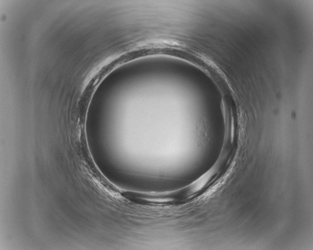 X0000054370973200507291042