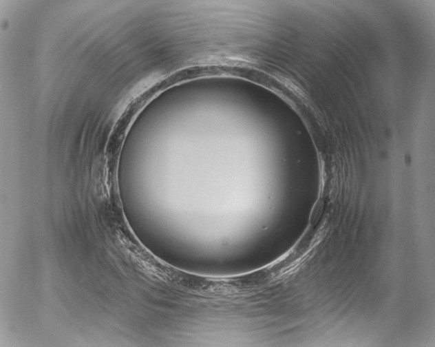 X0000054370974200507291042