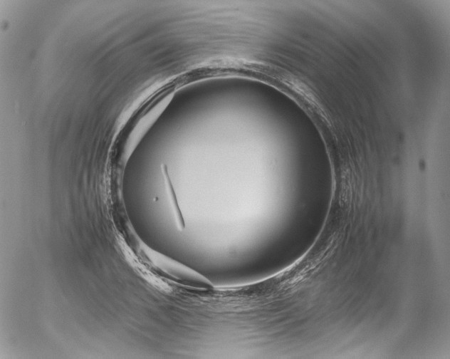 X0000054370976200507291042