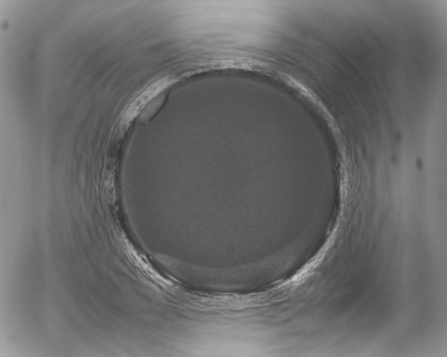 X0000054370977200507291042