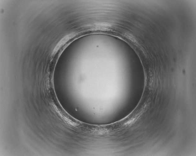 X0000054370978200507291042