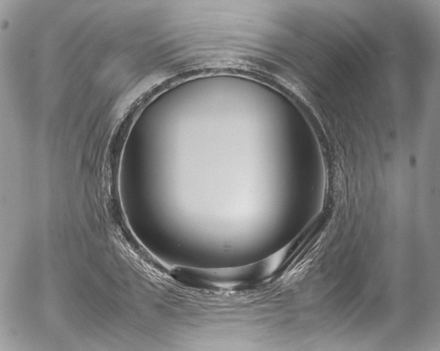 X0000054370979200507291042