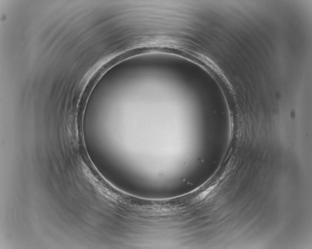 X0000054370980200507291042