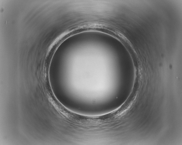 X0000054370981200507291042