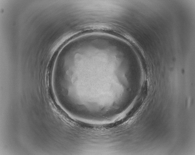 X0000054370983200507291042