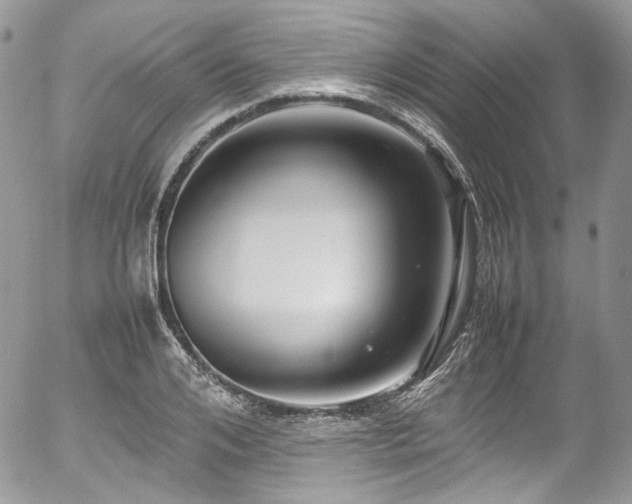 X0000054370984200507291042