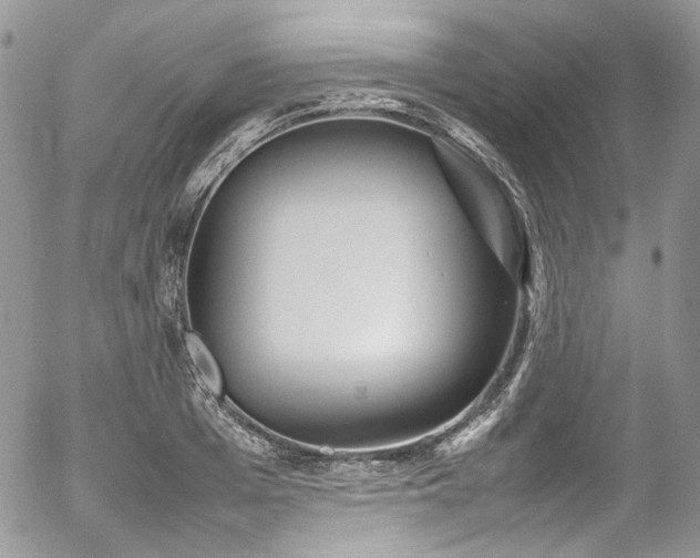 X0000054370985200507291042