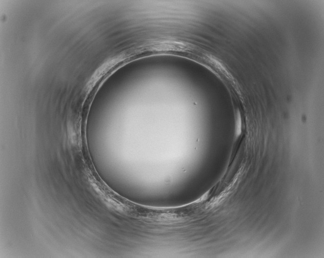 X0000054370986200507291042